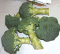 BROC-Shamrock