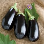 Black Eggplant