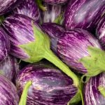 Round Purple Lined Eggplant