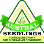 Austral Seedlings logo text in