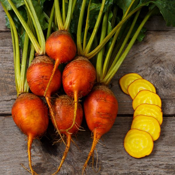 Beetroot Golden Yellow Extra Photo