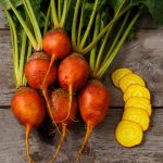 Yellow Beetroot